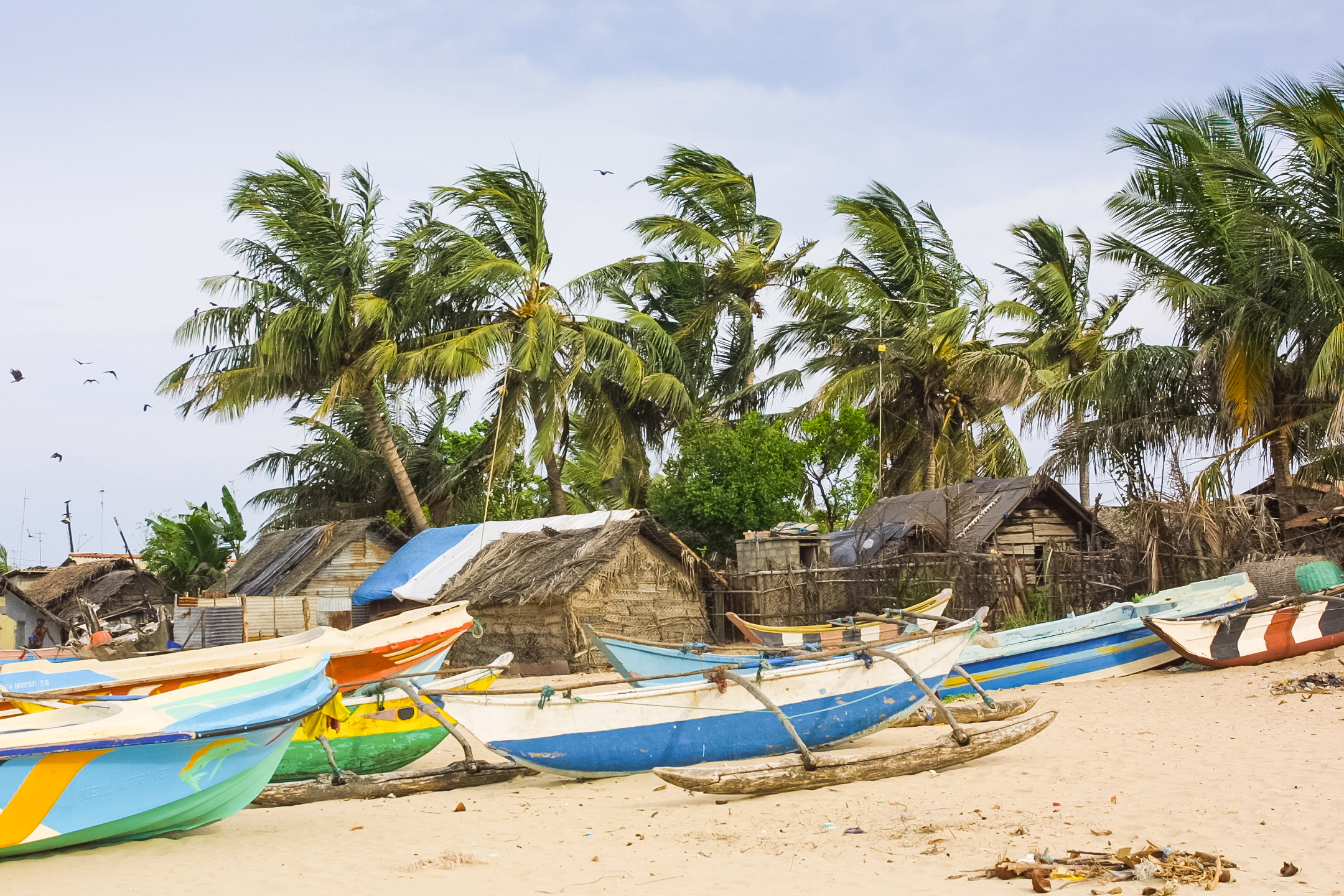 Trincomalee Fishing Village